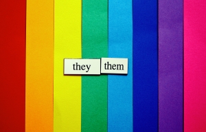 The Gender Debate