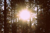 The End Times III: Harmony in the Scriptures