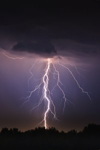 The Ministry of the Prophet: Interpreting Signs