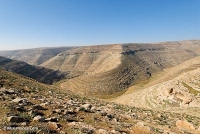 Wilderness of Judah