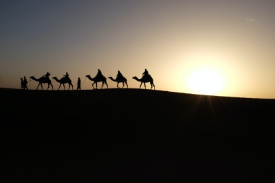 Wise Men Still Seek Him